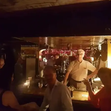 Kingfisher & Pub Castleconnell