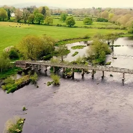 Kingfisher & Pub Castleconnell