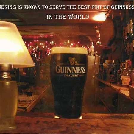 Kingfisher & Pub Castleconnell
