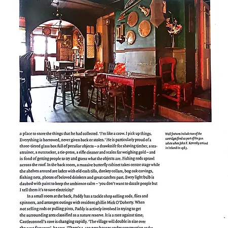 Kingfisher & Pub Castleconnell