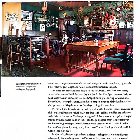 Kingfisher & Pub Castleconnell