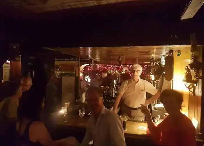 Kingfisher & Pub Castleconnell