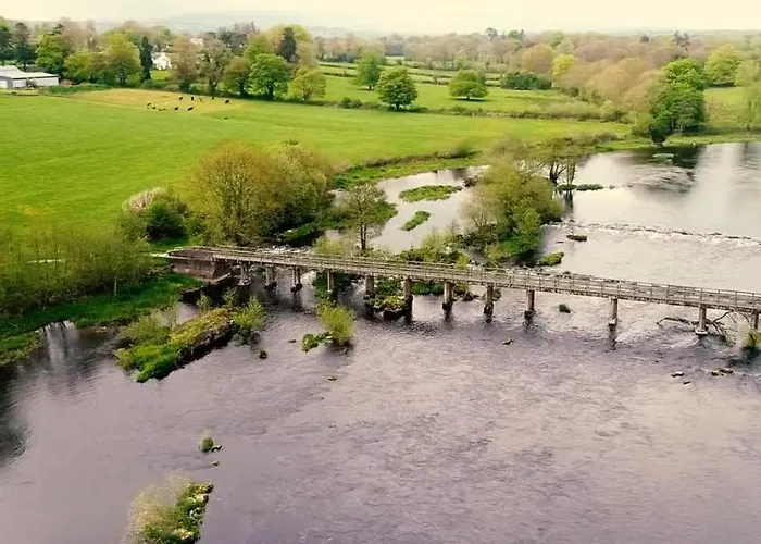 Kingfisher & Pub Castleconnell