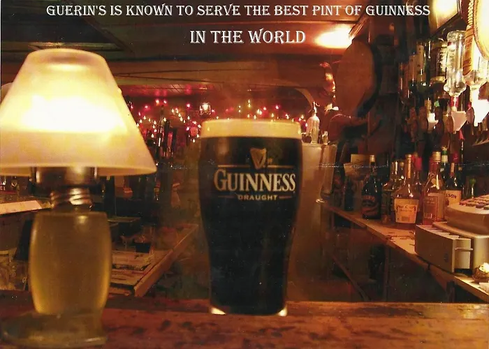 Kingfisher & Pub Castleconnell