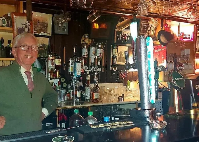 Homestay szállás Kingfisher & Pub Castleconnell