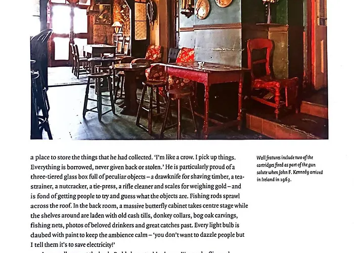 Kingfisher & Pub Castleconnell