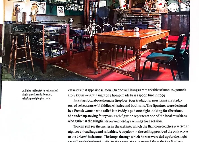 Kingfisher & Pub Castleconnell